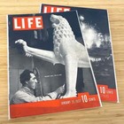 1 Pack Of 100 Bcw 11      X 14       1     Flap Life Magazine Bags