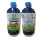 Parasite Detox Cleanse 100  Natural Organic 16 Oz Glass Bottle Free Shipping