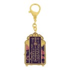 Feng Shui Tai Sui Amulet 2025