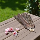 10 Pcs Long Pheasant Tail Feathers Natural Floral 1