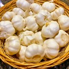 Music Garlic Bulbs 3 Bulbs-40lbs Fresh Organic Heirloom Plant Or Cook And Eat