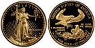 1991-p G 5 1 10 Oz Gold American Eagle Proof - Omp Coa - Sku-g5431 - Stock