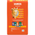 Iams Proactive Health Adult Healthy Dry Cat Food With Chicken 22 Lb Bag Free Shi