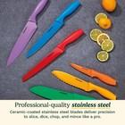 Cuisinart 12-pc Knife Set  Multi-color  Stainless Steel  C55-01-12pcks