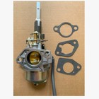 Oem Genuine Carburetor Assembly For Ariens Part  20001382