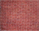 10 X 8 Ft Brick Wall Backdrop For Photoshoot Polyester Fabric Red Brick Backd   