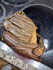  Vintage Wilson Baseball Glove Collectible