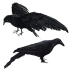 Black Fake Crows Halloween Decorations  2 Pcs Large Realistic Feather Crows