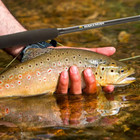 Fly Fishing Rod And Reel Combo Including Carrying Case  Flies  And Fishing Line
