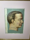 Vintage Medical Anatomy Flip Chart Framed Art Brain Skull Face Educational