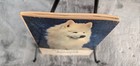 1964  How To Raise And Train A Samoyed By Vera Kroman Paperback 