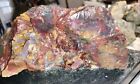 15lb Marston Ranch Petrified Bog Wood Jasper Oregon Lapidary Rough  72