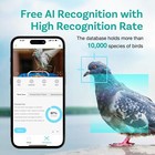 Smart Bird Feeder 1080p Camera  Ai Identify 11000  Bird Auto Capture Bird Videos