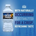 Deer Park Spring Water  12 Fl Oz  12-pack Plastic Bottles - Free Shipping