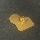 American Airlines International Balloon Team Lapel Pin Air Balloon Gold Tone