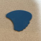 Joan Jett   The Blackhearts Blue Guitar Pick - Used At 5 3 13 Biloxi  Ms Concert