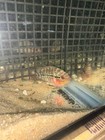 Live Fish Srd F3 Kamfa Flower Horn 4 Inch Male Nice Pearling And Nice Red Color