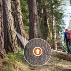 Reflective Trail Markers  Bright Trail Signs Glow Trail Arrows Markers  24-pack