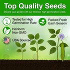 Bean Seeds For Planting 50 Bulk Vegetable Garden Heirloom Non-gmo Supply Organic