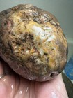 3lb  Lake Superior Jasper Agate Lapidary Display Rough Bold Colors Mn Specimen