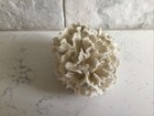 Sea Coral Specimen Natural White Lace  Ribbon  Fossil Aquarium Decor 3 5x3x2 In