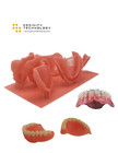 Basepro Denture Base Resin 500g   1kg   Dental 3d Printing   Lab-grade Material