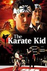 The Karate Kid  5-movie Collection  dvd Box Set 