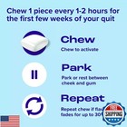 Nicorette Nicotine Gum  Stop Smoking Aids   2 Mg  White Ice Mint  160 Count