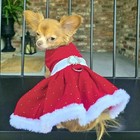 Doggie Design Christmas Red Velvet Dog Dress With Fur Trim   Leash Size     S-xl