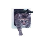 Pets Dog Cat Door Four-way Lock  Magnetic  Flap Lockable  6 1 4  X 6 1 4 