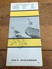 Bird Life In Iceland   Icelandair 1960s