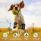 Dog Leg Brace For Hind Leg And Front Leg anti-licking Dog Knee Brace For Dogs