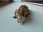 Schleich Alligator Figure 14727 Rare Swamp Wildlife Retired Crocodile 2014 Toy