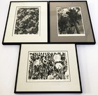 3 1984 Signed Custom Framed Etching Print Nature Trees Plants Abstract Modernist