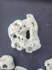 10 Holey Rocks Hag Stones Natural Beach  Mystical Hole Fairy 