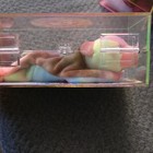 Ty Beanie Baby Beanie Babies Official Club Rainbow Bear Plush In Display Case