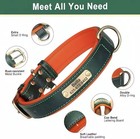 Personalized Leather Padded Dog Collar Customized Id Nameplate Pet Collars