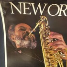 Piedmont Airlines  new Orleans  1980 s Vintage Poster 24  Wide X 36  Long