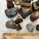 Montana River Moss Agate  Jasper  Agate Lapidary 1 5lb Lot Rough  Petrified Wood