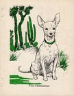 Sweet Vintage Chihuahua Print 1940 Diana Thorne Chihuahua Wall Art 6157b