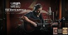 Ernie Ball Acoustic Guitar Strings Earthwood 80 20 Bronze Choose 1 Set