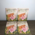 Cat Greeting Cards Lot Unused Happy Birthday Vintage 90s Usa With Envelopes 4