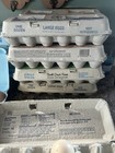 Fertilized Chicken Eggs For Hatching - One Dozen Eggs -  Backyard Mix Chicks