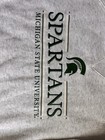 Champion Michigan State Spartans Sweatshirt Mens Small Gray Embroidered Crewneck