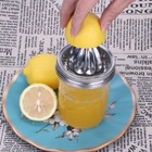 2x Mason Jar Stainless Steel Juicer Lid  Citrus Reamer For Wide Mouth Mason Jar