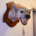 African Spotted Hyena Taxidermy Vintage Fur Keychain Charm Vulture Culture