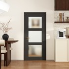 30  x80   3-lite Frosted Glass Interior Door Mdf Preassembled Closet Bath No Hw