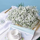 30 Pcs Real Touch Gypsophila Flowers For Wedding Home Garden Decor