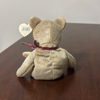 Ty Beanie Babies 1999 Signature Bear Bean Bag Plush W  Heart Hang Tag Retired