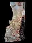 Xl Mind Blowing Wormy Birdseyemaple Burl Wood Slab   Live Edge Maple  Epoxy Wood
